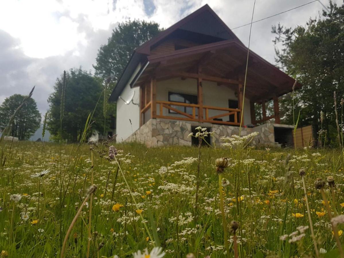 Eco Village Highlander Zabljak  Exterior photo
